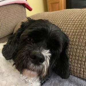 Meet your Posher, Khloe